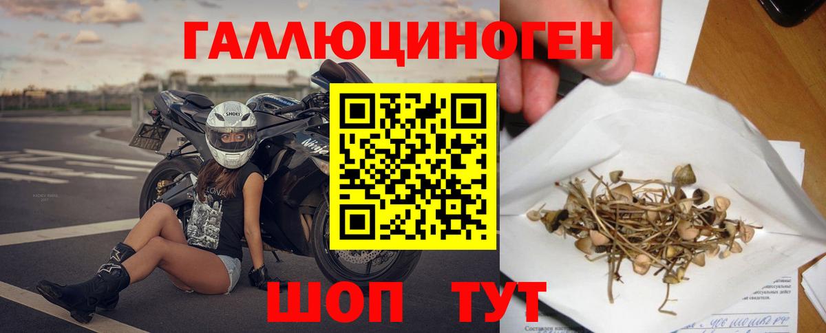 Галлюциногенные грибы мицелий Крымск