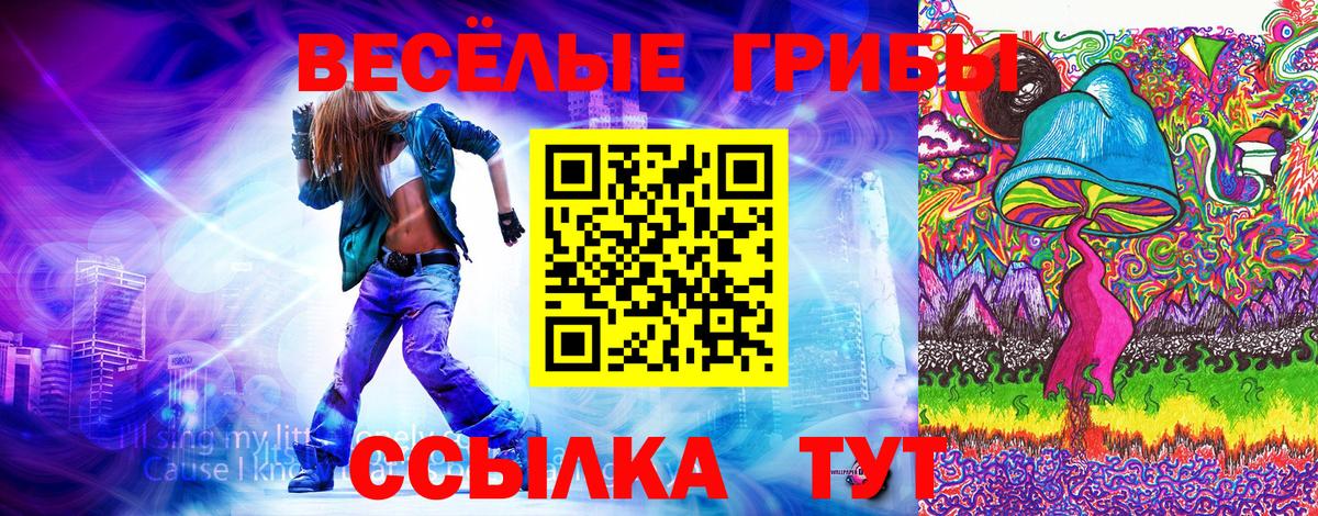 Крымск  Псилоцибиновые грибы ЛСД  Вход с VPN  Галлюциногенные грибы GOLDEN TEACHER 